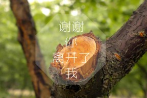 开云体育-五大联赛是否形成非对称控球结构对抗密集防守，非五大联赛球星