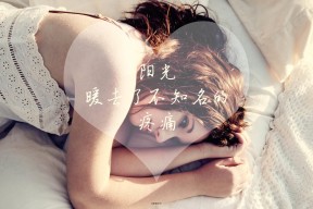 开云中国大陆-德国男子篮球队员丹尼斯·施罗德在比赛中表现突出，丹尼斯施罗德 德国