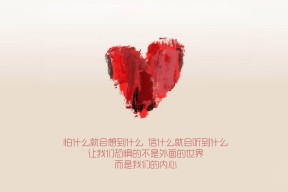 开云·体育官网-运动员公益：用行动传递爱心、点亮希望，运动员做公益