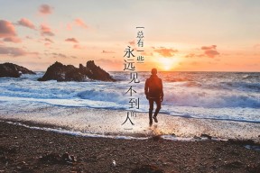kaiyun中国官方网站-意大利马术协会建立马匹基因数据库，促进马匹选育与训练。，意大利maryam马皮