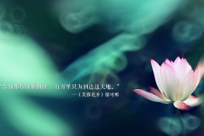Kaiyun(中国)开云-战术大揽！意大利主帅如何设计博弈王局？，意大利 主帅