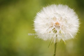 开云中国大陆-拜仁球员技术细腻,对抗冷静,拜仁主力队员