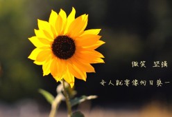 开云官方网页登录-车载声浪：引擎轰鸣的极致享受，汽车声浪怎么安装