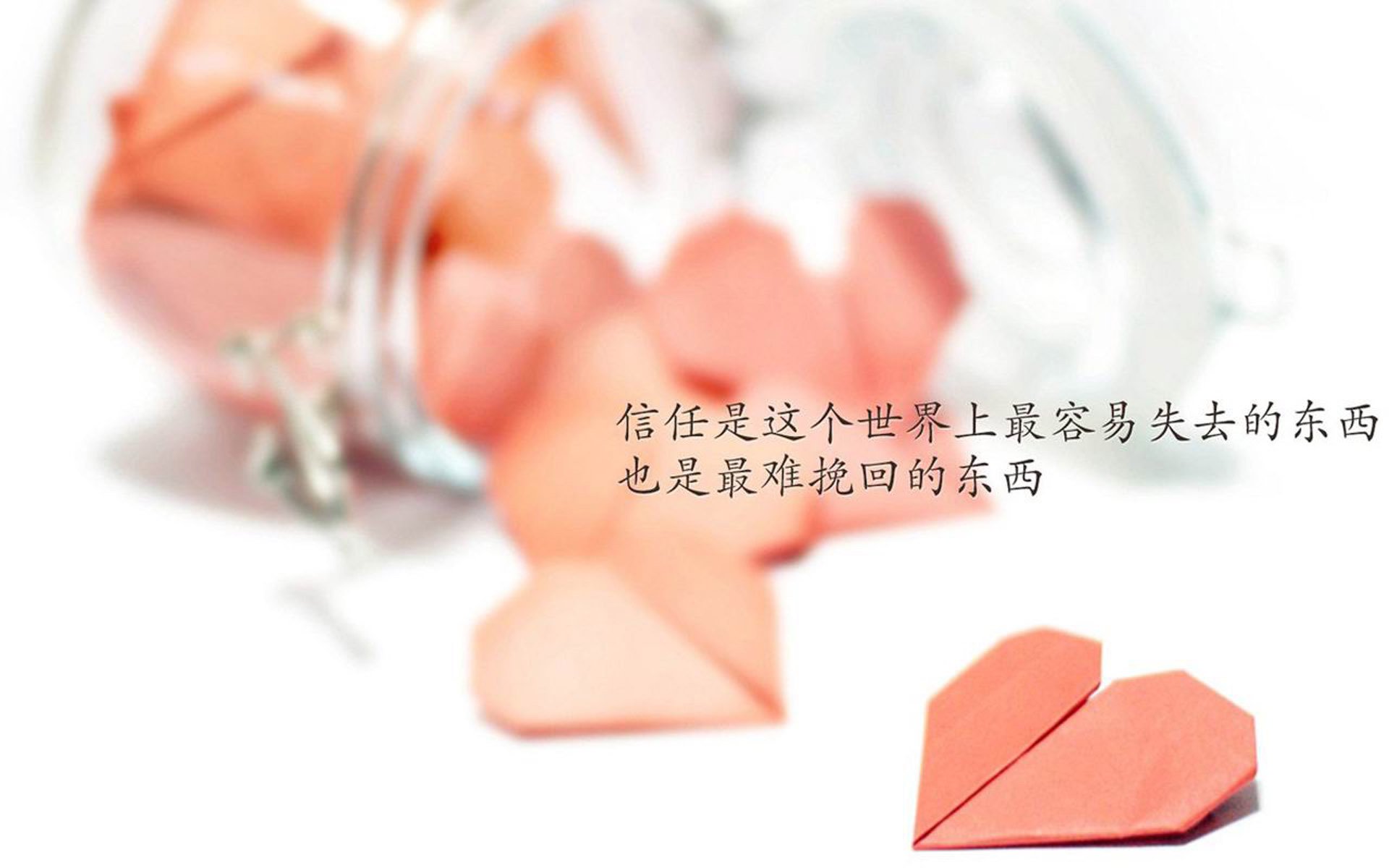 青少年篮球运动在偏远地区普及，乡村体育振兴新动能，青少年篮球教育行业分析