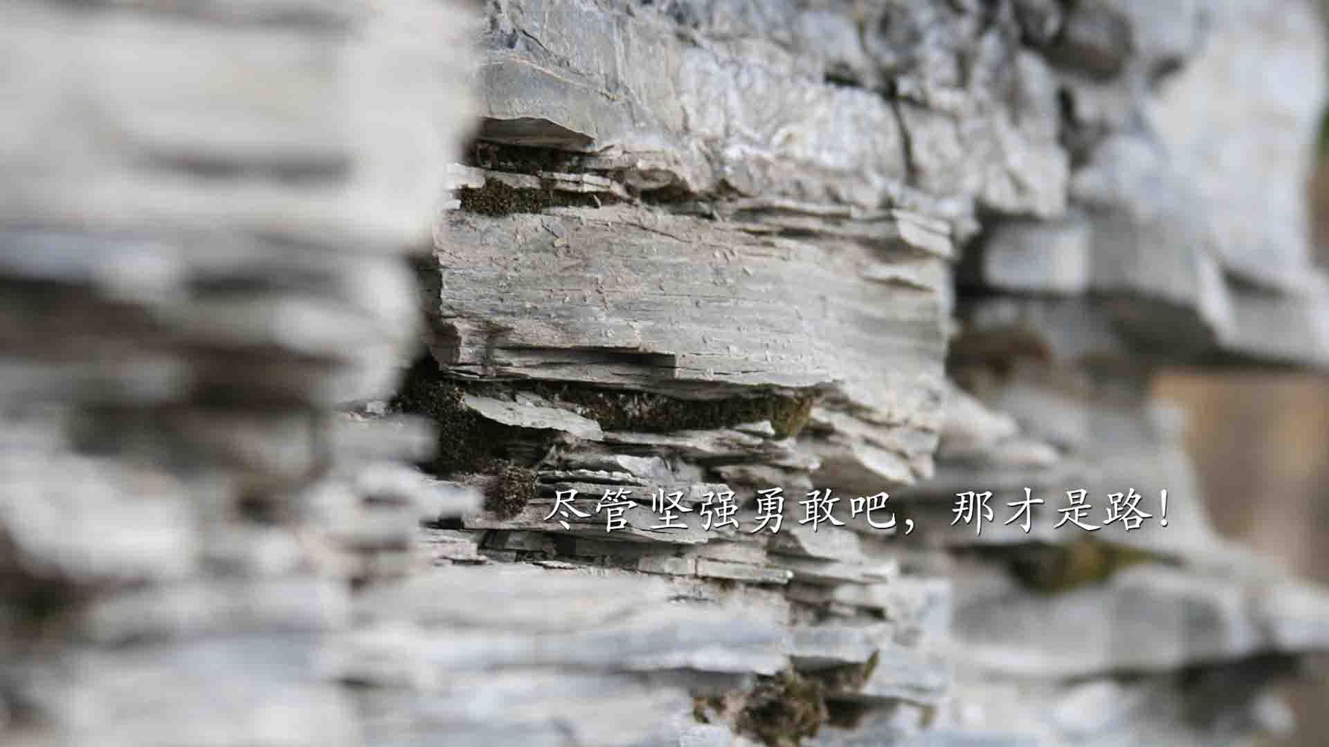 佩纳罗尔新援首秀亮眼，佩纳罗尔足球俱乐部