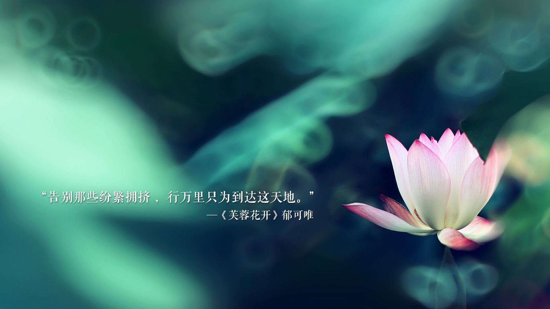 战术大揽！意大利主帅如何设计博弈王局？，意大利 主帅