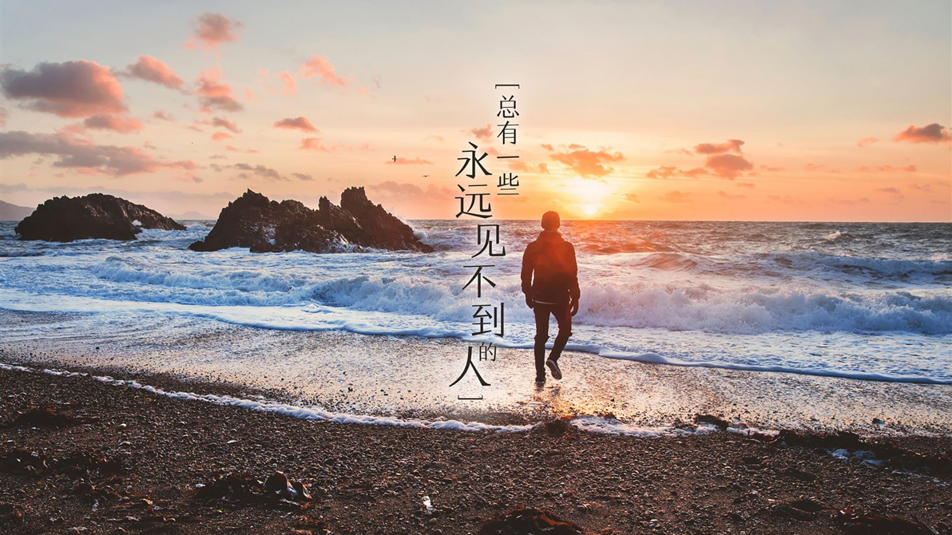意大利马术协会建立马匹基因数据库，促进马匹选育与训练。，意大利maryam马皮