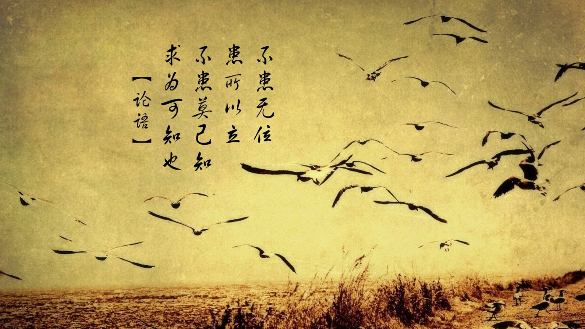 中超边后卫上下插上频次与丢球风险评估，中超后卫外援有哪些