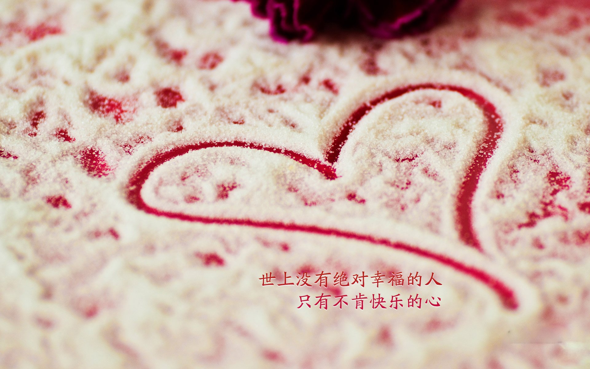 “滑轮赛：新兴选手以惊艳表现打破传统束缚”
