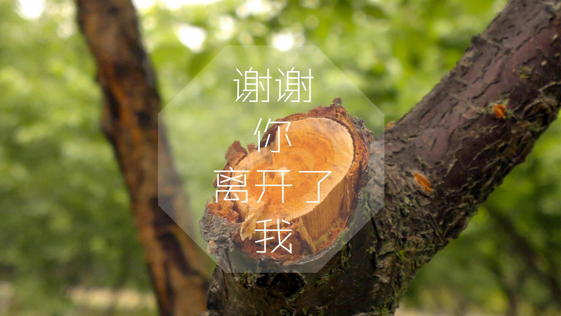 五大联赛是否形成非对称控球结构对抗密集防守，非五大联赛球星