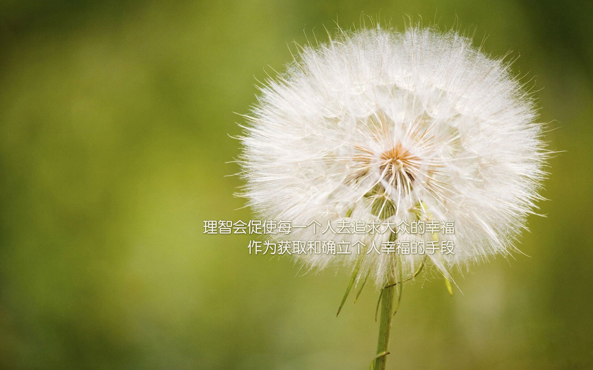 拜仁球员技术细腻，对抗冷静，拜仁主力队员