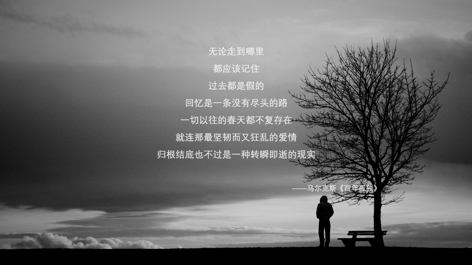 瑞典乒乓球队未来：通过科学训练提升技战术水平，瑞典乒乓球厉害吗