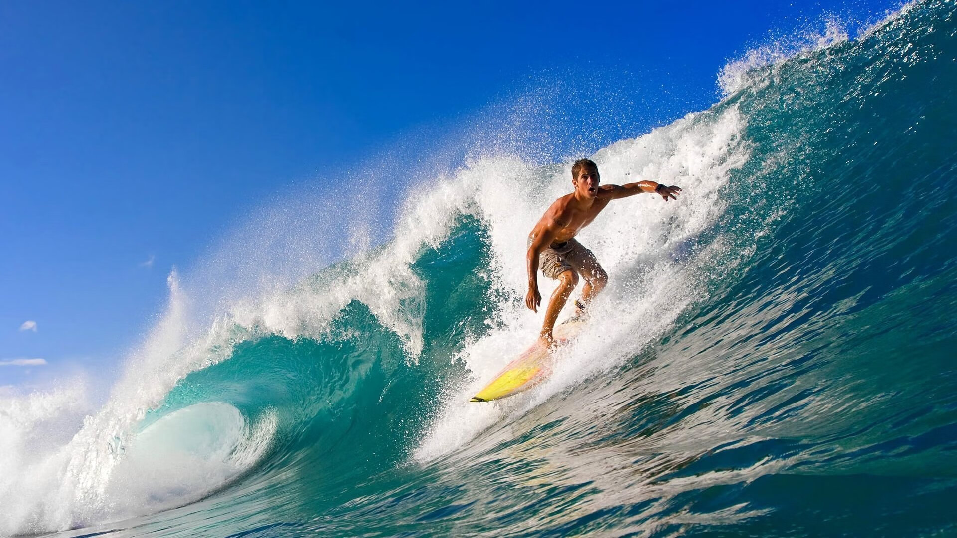 开云官网APP下载-欧冠“神奇之夜”：不可思议的比赛瞬间盘点，cctv5欧冠之夜